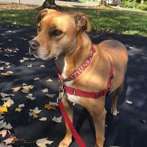 Meet your Posher, Jackie